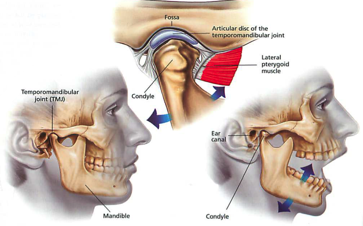 jaw injury caused by motor vehicle accident